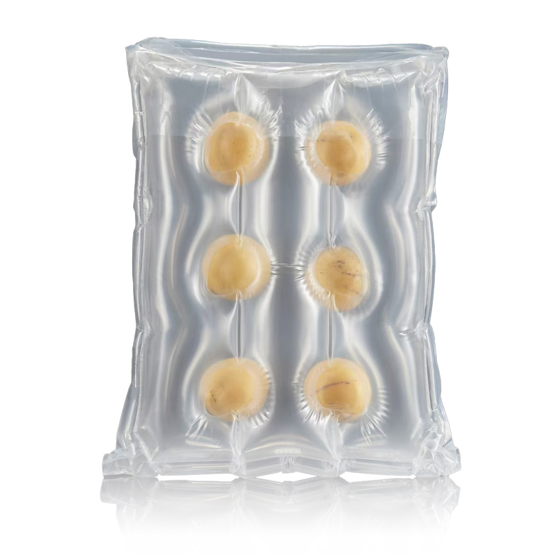 Bolsa de coluna de ar